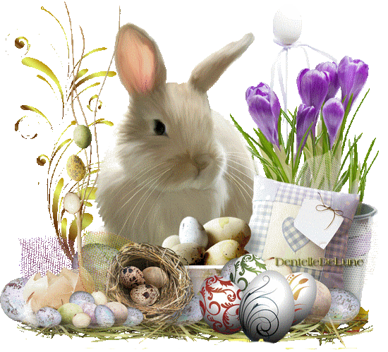 Lapin